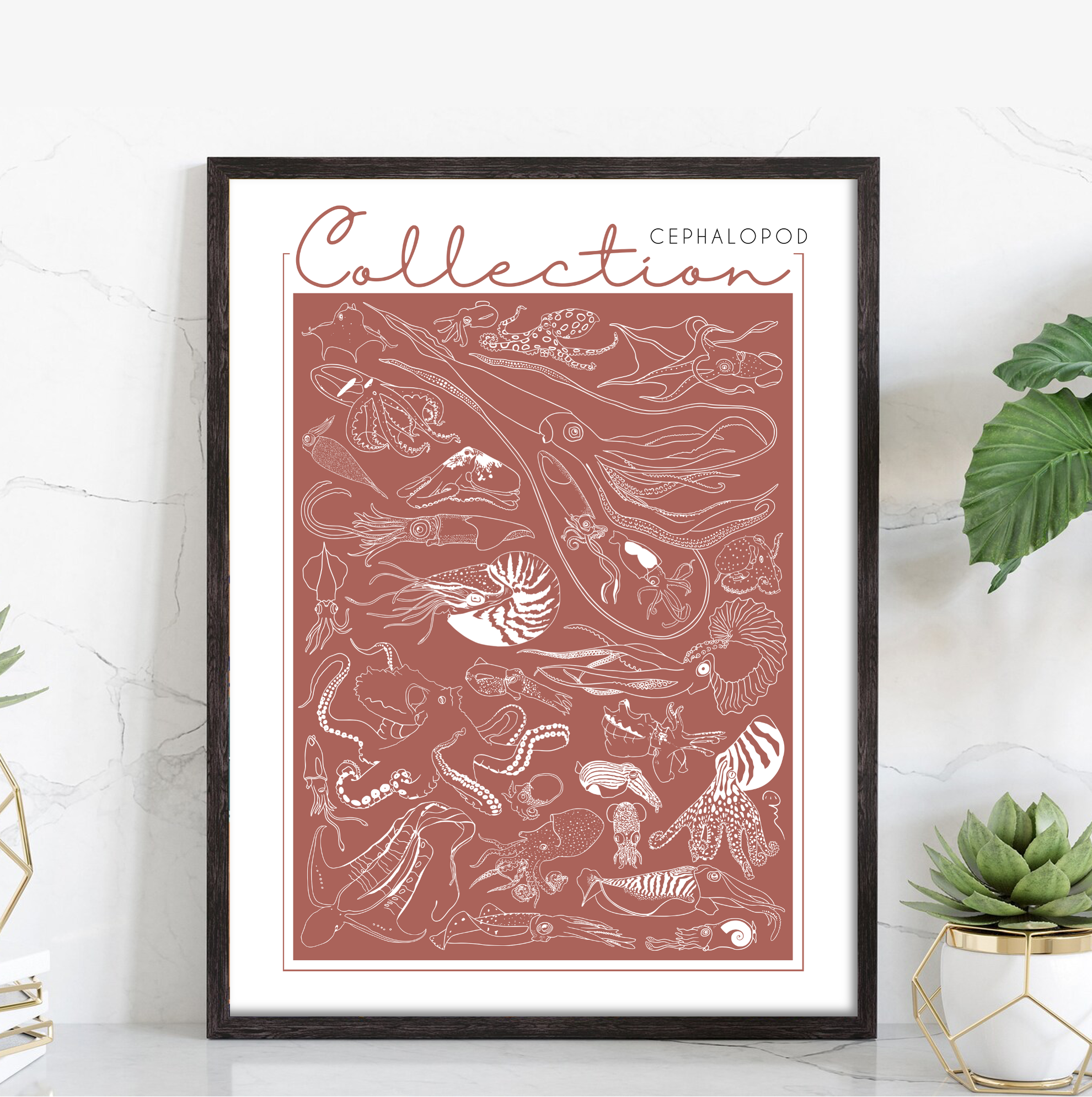 Collection - Cephalopod – Image 2