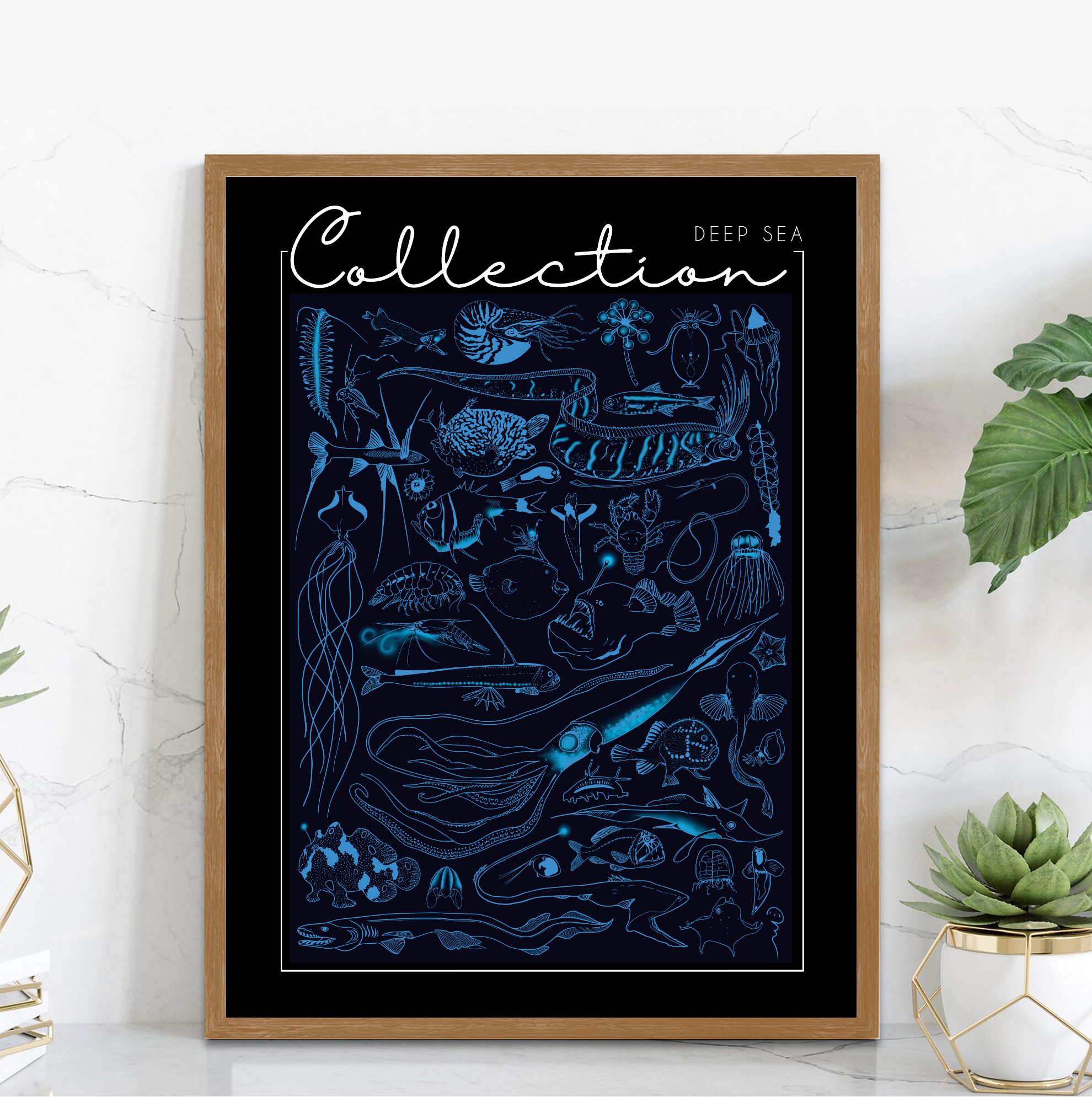 Collection - Deepsea – Image 2