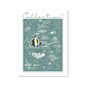 Collection - Fish