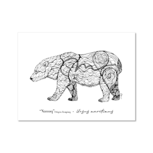 Line art - Polar bear