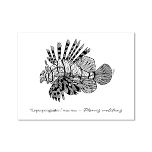 Line art - Lionfish
