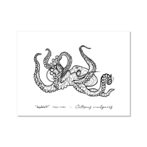 Line art - Octopus
