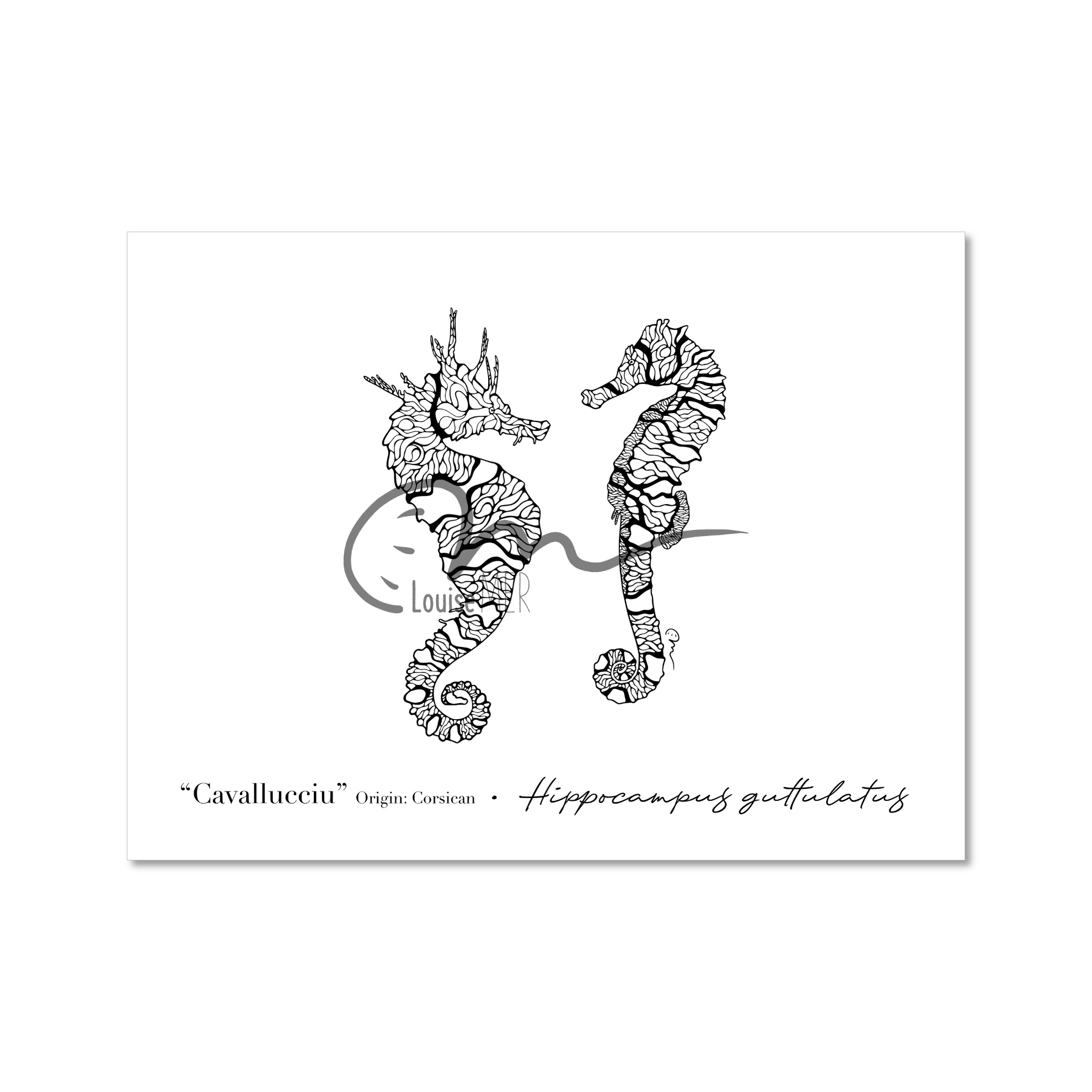 Line art - Sea horse