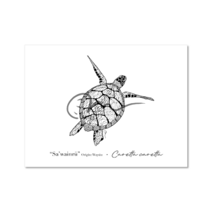 Line art - Turtle
