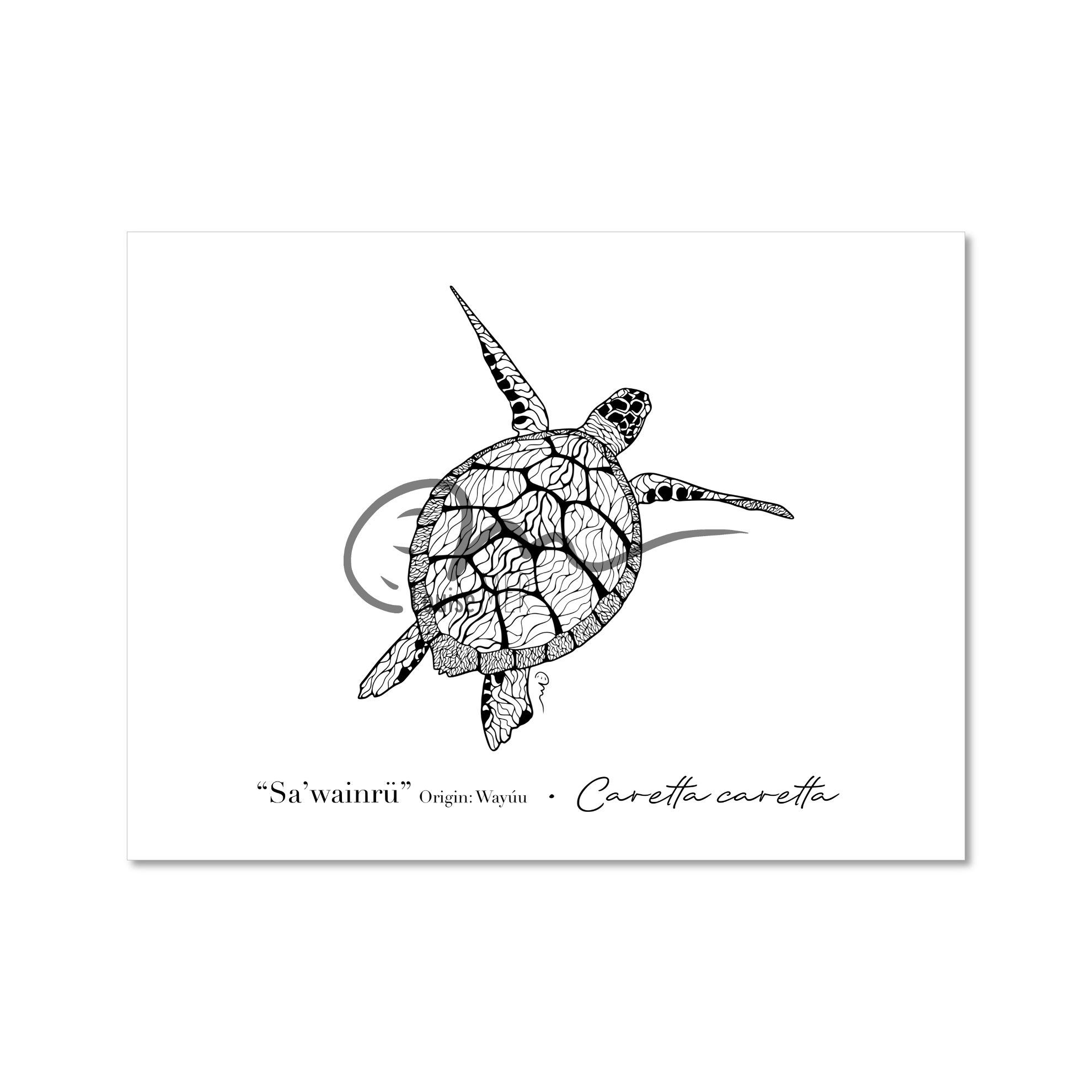 Line art - Turtle