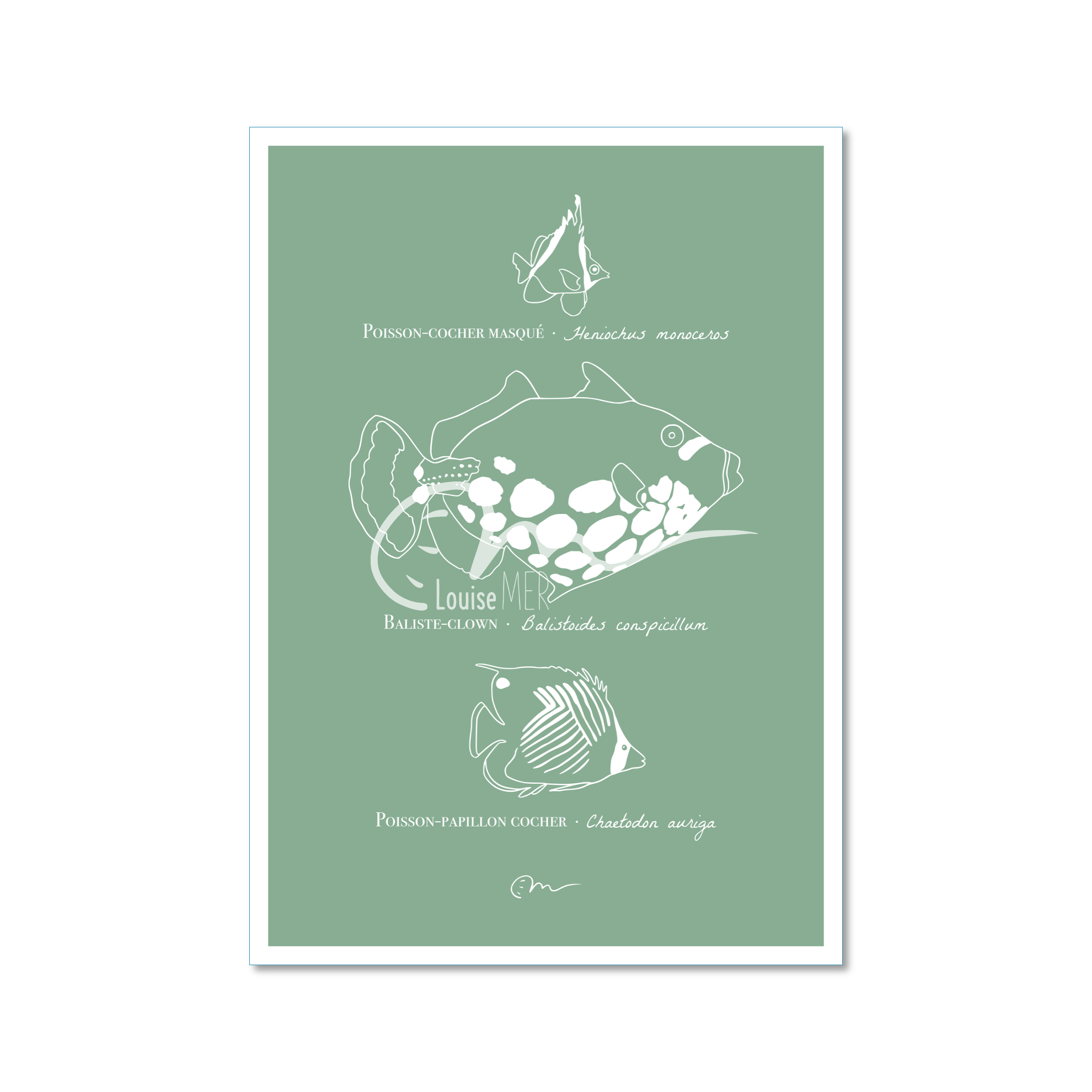 Espèces - Poissons
